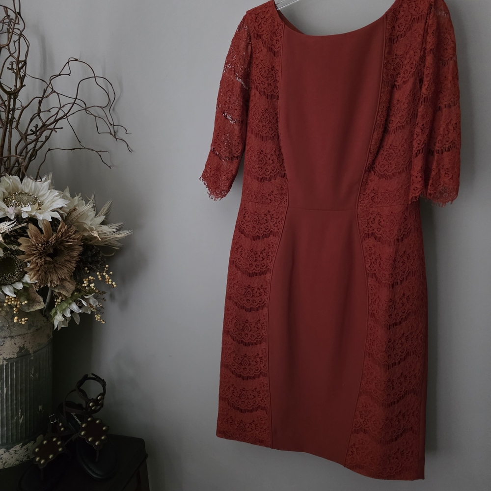 Rust Lace Sleeve Fitted Tunic Dress